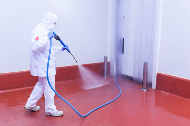 Best Boat and Dock Cleaning  in Lake Dunlap, TX